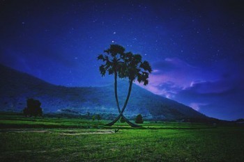 我想給自己買個(gè)保險(xiǎn)怎么買？有什么投保注意事項(xiàng)？
