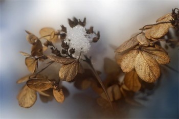 泰康萬能險退保能退多少錢？怎么退？