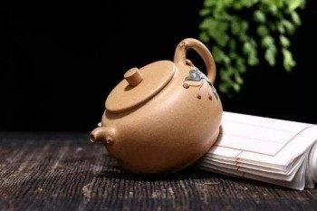 金瑞人生可以退保嗎？金瑞人生怎么退保劃算？