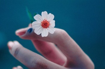 保險過期沒交費可以申請退保不