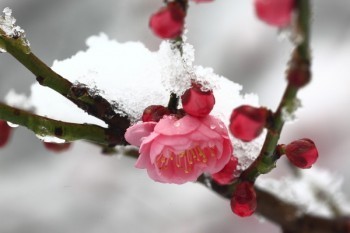 個(gè)人養(yǎng)老保險(xiǎn)怎么交網(wǎng)上繳費(fèi)