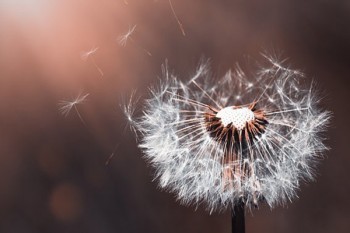 郵政存錢被忽悠買了保險可以退嗎？怎么能全額退？