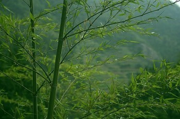 泰康的百萬醫(yī)療險怎么樣？跟同類產(chǎn)品對比如何？?