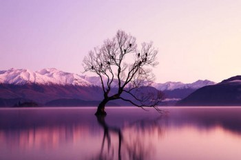 國壽如e康悅百萬醫(yī)療保險(xiǎn)A款怎么樣？在哪里可以買？