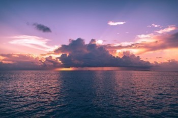 未生效的保單可以退嗎？可以全額退嗎？