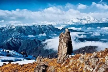 保險(xiǎn)15天內(nèi)退保是全退嗎？需要什么手續(xù)？