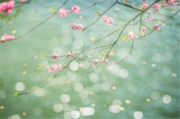 如何查詢養(yǎng)老保險個人賬戶信息