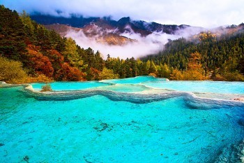 個(gè)人退保情況說明怎么寫？退保有什么影響？