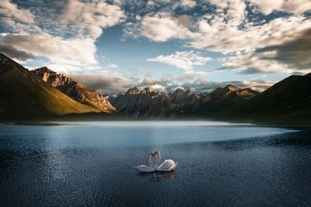 平安智能星17退保能退多少錢？退保流程是怎樣的？?