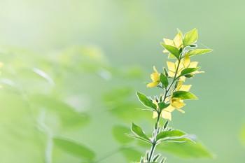 平安百萬醫(yī)療e生保2022版等待期是多久？適合哪些人買？