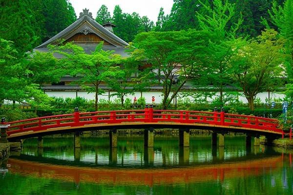交了八年保險(xiǎn)退保怎樣可以退全款？怎么退？