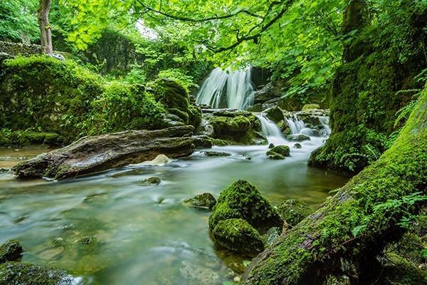 保險(xiǎn)退保險(xiǎn)退保怎樣可以退全款？怎么退？