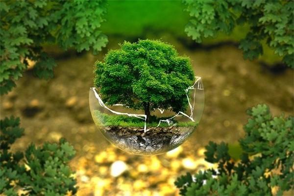 沒簽合同保險退保怎樣可以退全款？退保怎么退？