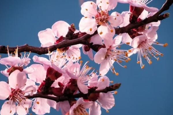 新華保險(xiǎn)退保怎樣可以退全款？注意事項(xiàng)有哪些？