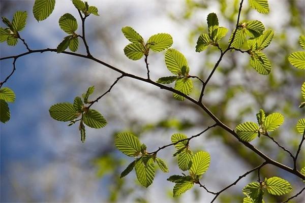 保險(xiǎn)退保都需要什么資料？需要本人去嗎？