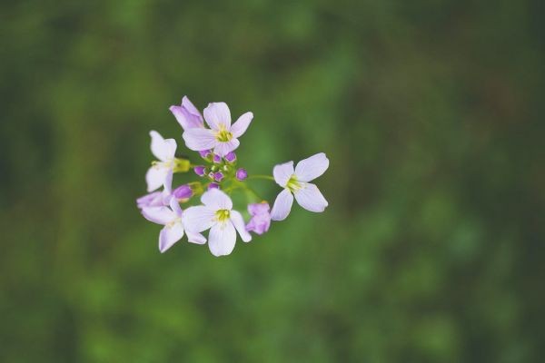保險(xiǎn)到期該不該退保呢？退保要注意哪些問題？