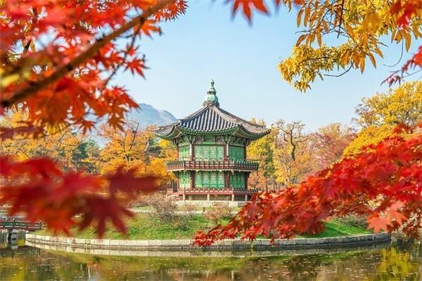 保險(xiǎn)不想交了怎么退保？退保能退回多少錢(qián)？