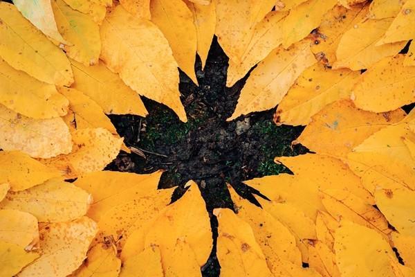 泰康壽險退保最佳方法是什么？要怎么退？