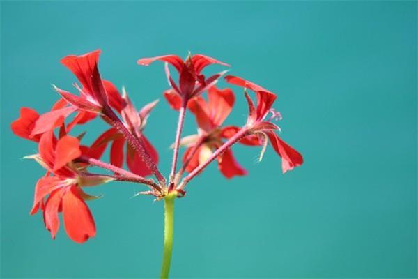 退保損失最小的方法是什么？退保需要注意哪些？