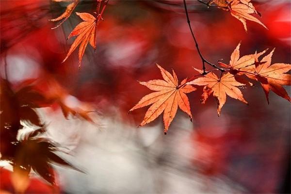 水滴保險(xiǎn)退保的方法是什么？退保能退嗎？