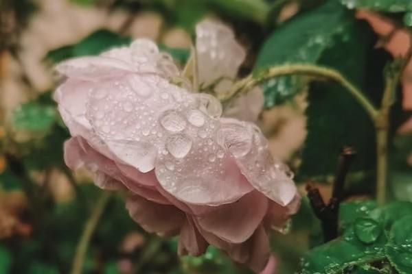 一周左右全額退保方法有哪些？要注意哪些問(wèn)題？