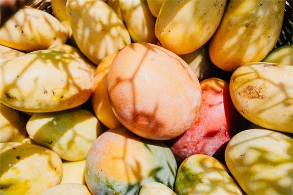 怎么能夠順利退保險費(fèi)的方法？退保險費(fèi)按百分之幾退？
