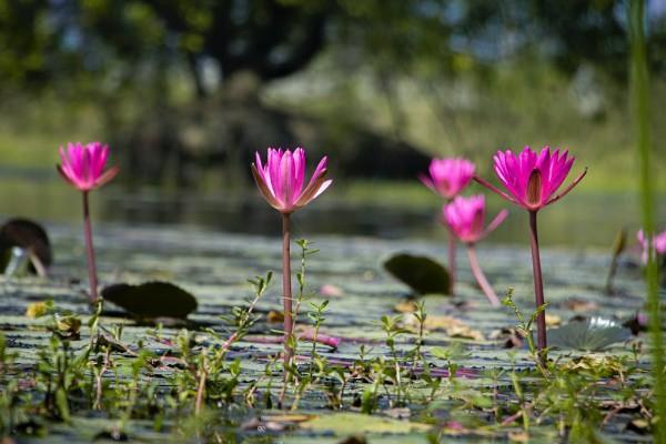 保險(xiǎn)公司顯示退保成功錢(qián)還沒(méi)到咋回事？該怎么處理？