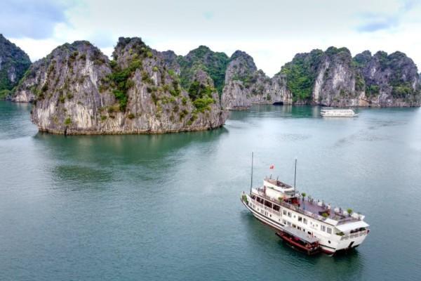 理財保險可以提前退保嗎？流程是什么？