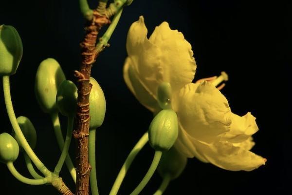 重疾險和醫(yī)療險哪個更值得購買？可以同時理賠嗎？