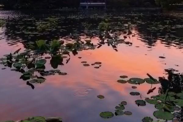 猝死屬于意外險(xiǎn)理賠嗎？意外險(xiǎn)理賠范圍包括哪些？