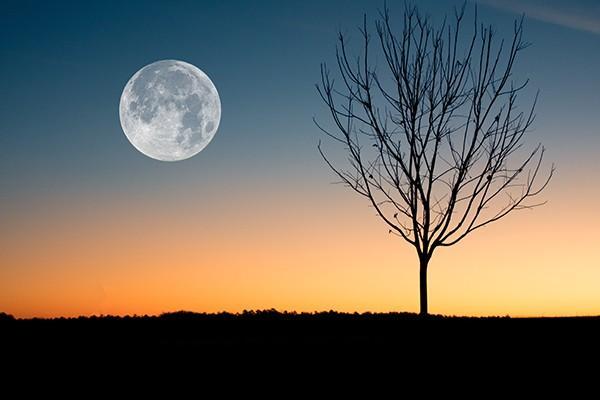醫(yī)療險和重疾險的區(qū)別是什么？可以同時買嗎？