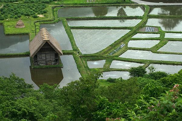 商業(yè)養(yǎng)老保險哪家保險公司好