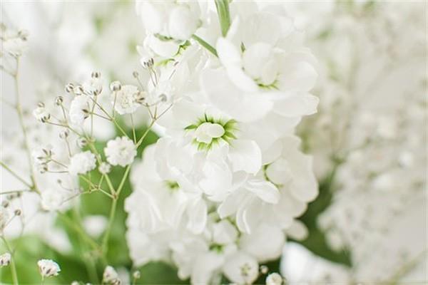大病險(xiǎn)怎么買劃算？有沒有必要購(gòu)買？
