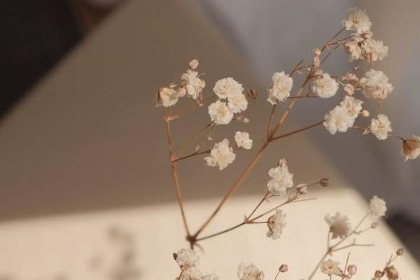 農(nóng)村大病保險怎么買？包含的疾病有哪些？
