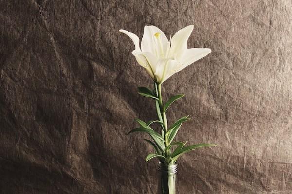 新農(nóng)合有大病保險(xiǎn)嗎？保障范圍有哪些？