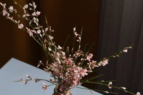 醫(yī)保大病保險一年交多少錢？可以報銷多少錢？