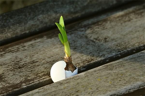 大病醫(yī)療怎么辦？一年交多少錢？