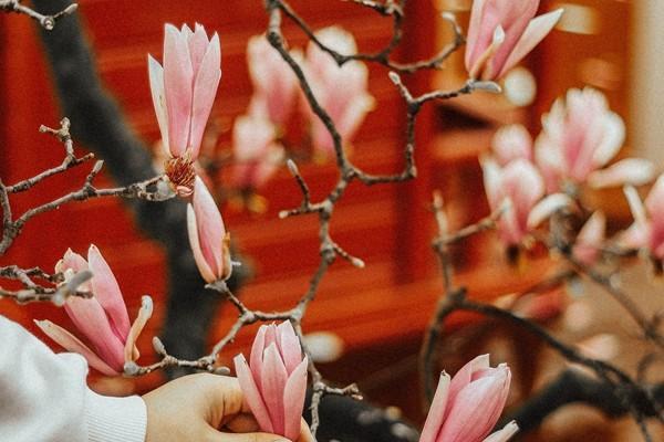 醫(yī)保單位繳費(fèi)比例是多少？要注意哪些事項(xiàng)？