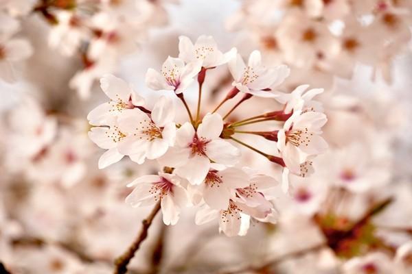 網(wǎng)上醫(yī)保怎么繳費(fèi)？多久可以查詢到？