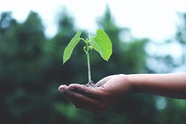醫(yī)保繳費時間怎么查詢？辦理流程是怎樣的？