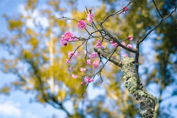 交了社保是不是等于交了醫(yī)保？為什么很多人不交醫(yī)保？