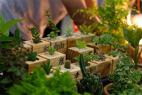 養(yǎng)老保險繳費記錄怎么查？繳費記錄可以刪除嗎？