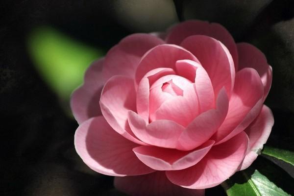 意外險怎么買合適？選擇什么產(chǎn)品好？