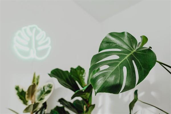 保險賠付最長得多長時間？保險公司不給理賠怎么處理？
