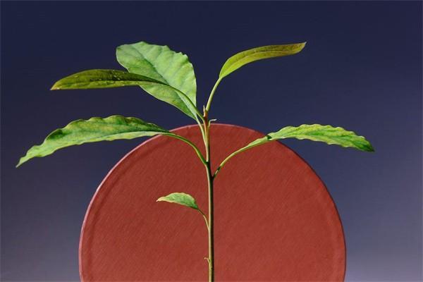 怎么投訴保險(xiǎn)公司最管用？投訴是否有用？