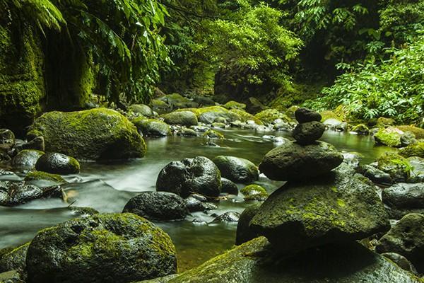 在手機(jī)上怎么交農(nóng)村養(yǎng)老保險？交農(nóng)村養(yǎng)老保險后怎么查？