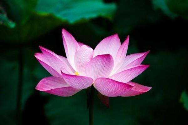 對方全責(zé)不配合理賠怎么辦？起訴流程是怎樣的？