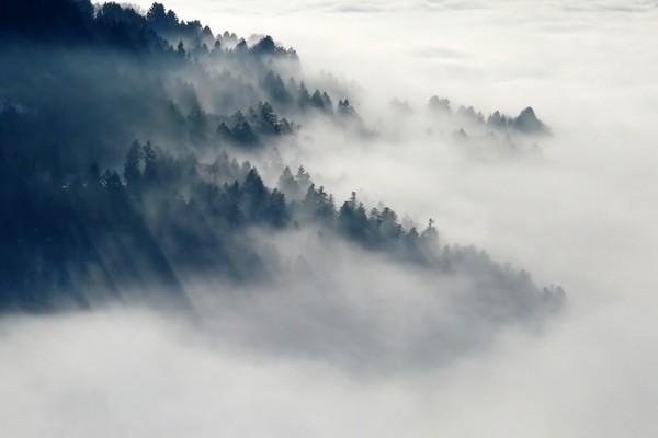 養(yǎng)老保險交15年和20年的區(qū)別有哪些？哪個劃算？