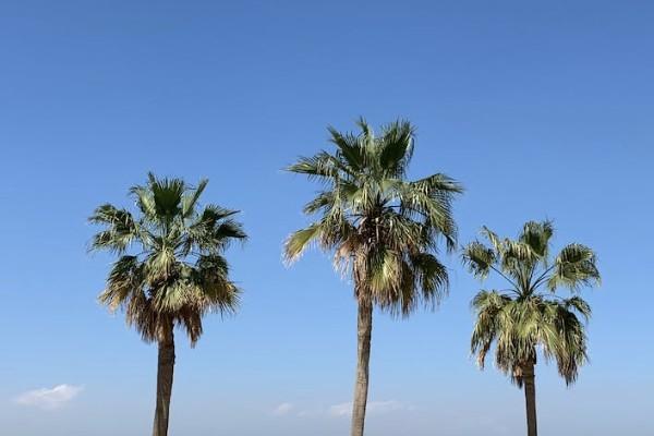 保險(xiǎn)公司哪家口碑最好？排名前十的有哪些？