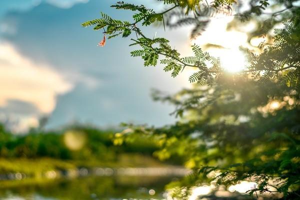 醫(yī)?？ú樵儌€人賬戶明細怎么查詢？有必要查詢嗎？